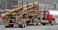EU and Honduras sign agreement to reduce illegal timber logging